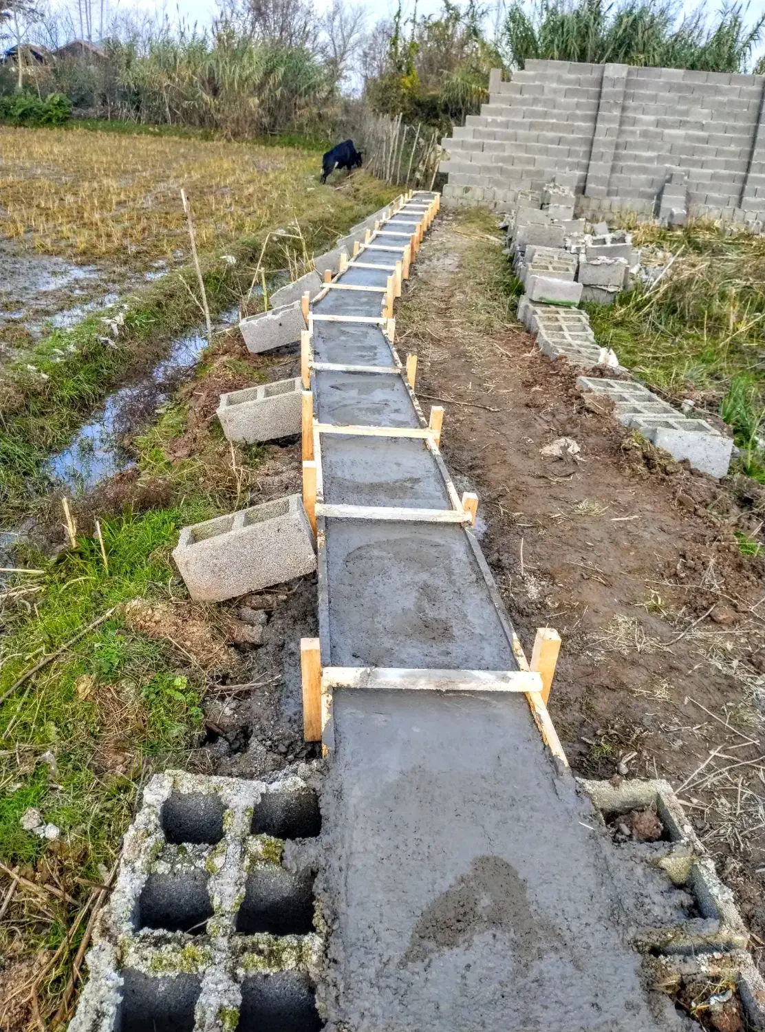 بنایی دیوار چینی سیمانکاری|خدمات پیشه و مهارت|رشت, شهرک قدس|دیوار