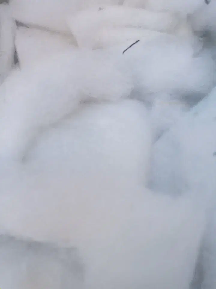 لایکو صنعتی|رختخواب، بالش، پتو|مشهد, شهید علی محمدی|دیوار