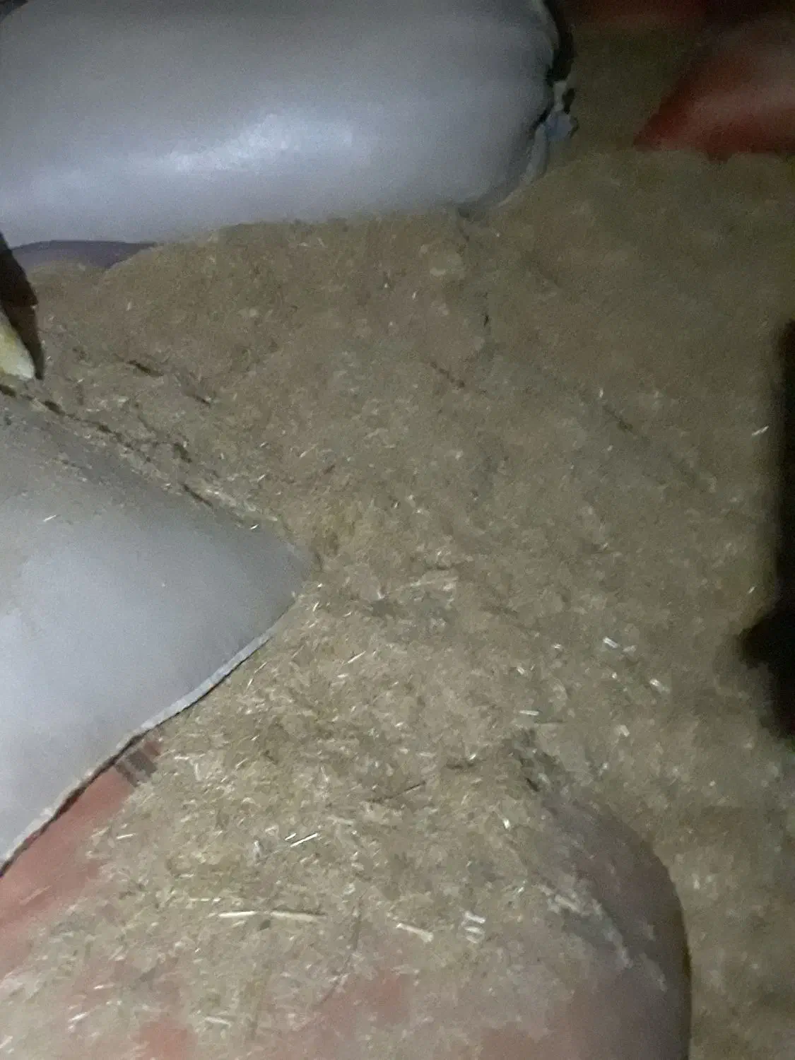 کاه گندم دیم.|لوازم جانبی حیوانات|بیستون, |دیوار