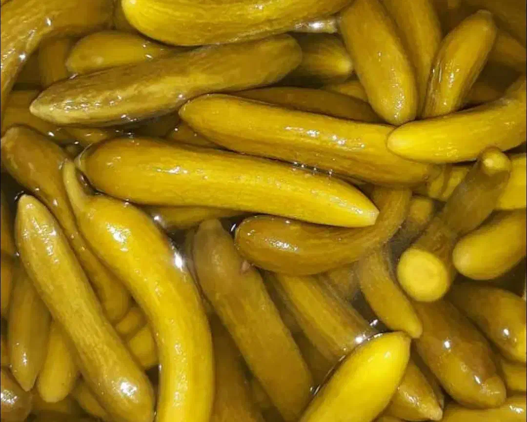 خوردنی|خوردنی و آشامیدنی|محمدیه-قزوین, |دیوار