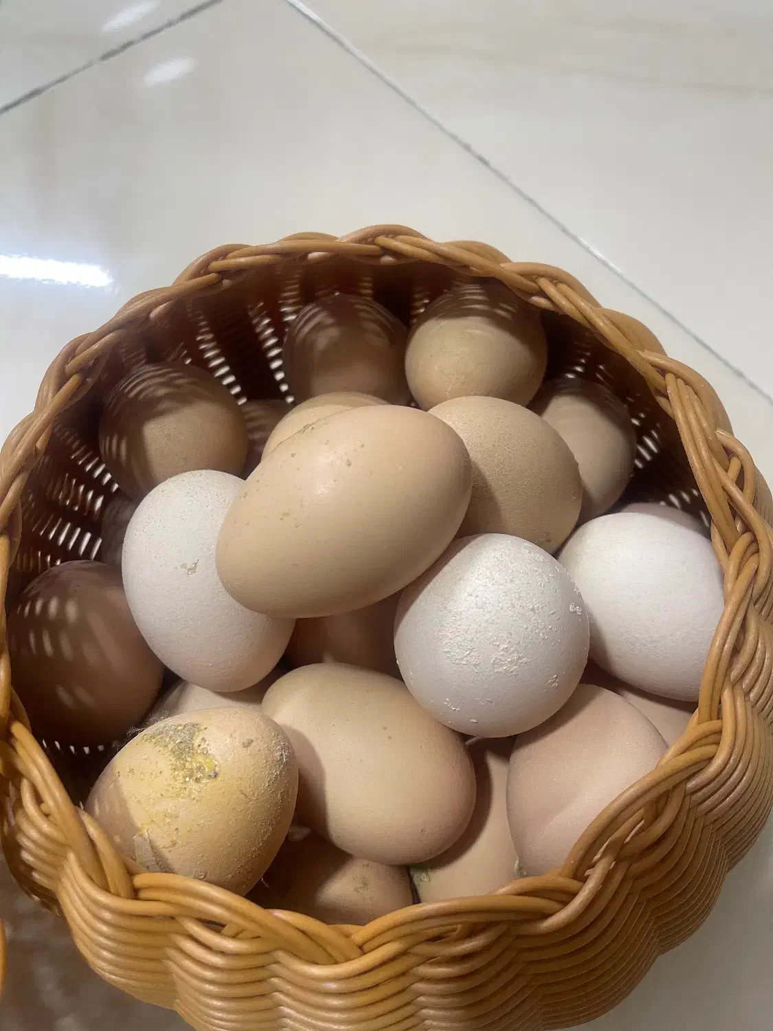 تخم مرغ محلی خانگی|حیوانات مزرعه|تهران, گلستان (شهرک راه آهن)|دیوار