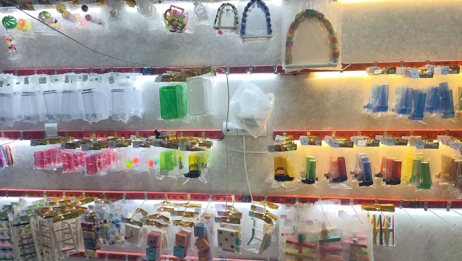 فروشگاه تخصصی لوازم طوطی و پرندگان|لوازم جانبی حیوانات|قدس, شهرقدس|دیوار