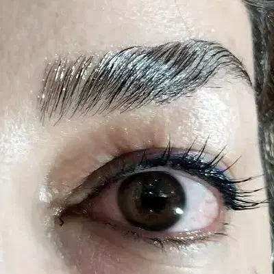 جشنواره لیفت ابرو و مژه|خدمات آرایشگری و زیبایی|فردیس, سرحدی|دیوار