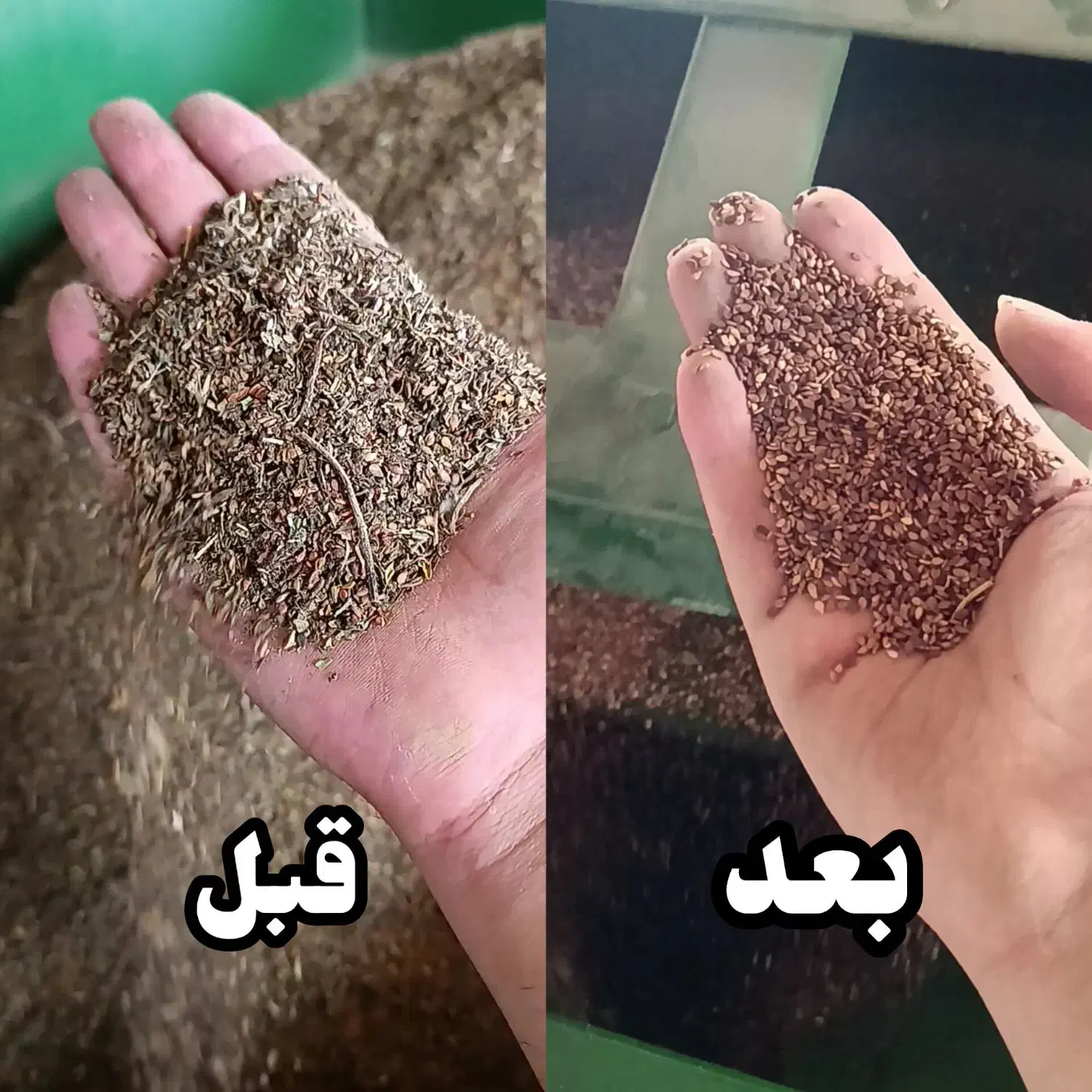 بوجاری بذر پذیرفته می‌شود|خدمات پیشه و مهارت|فسا, |دیوار