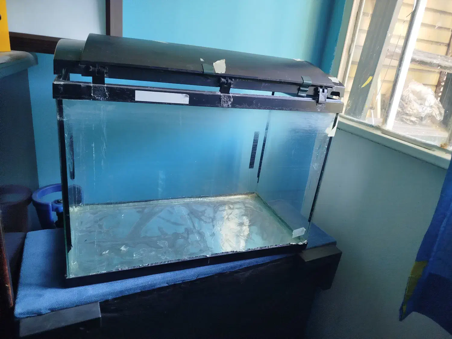 آکواریوم|ماهی|فردیس, فردیس|دیوار