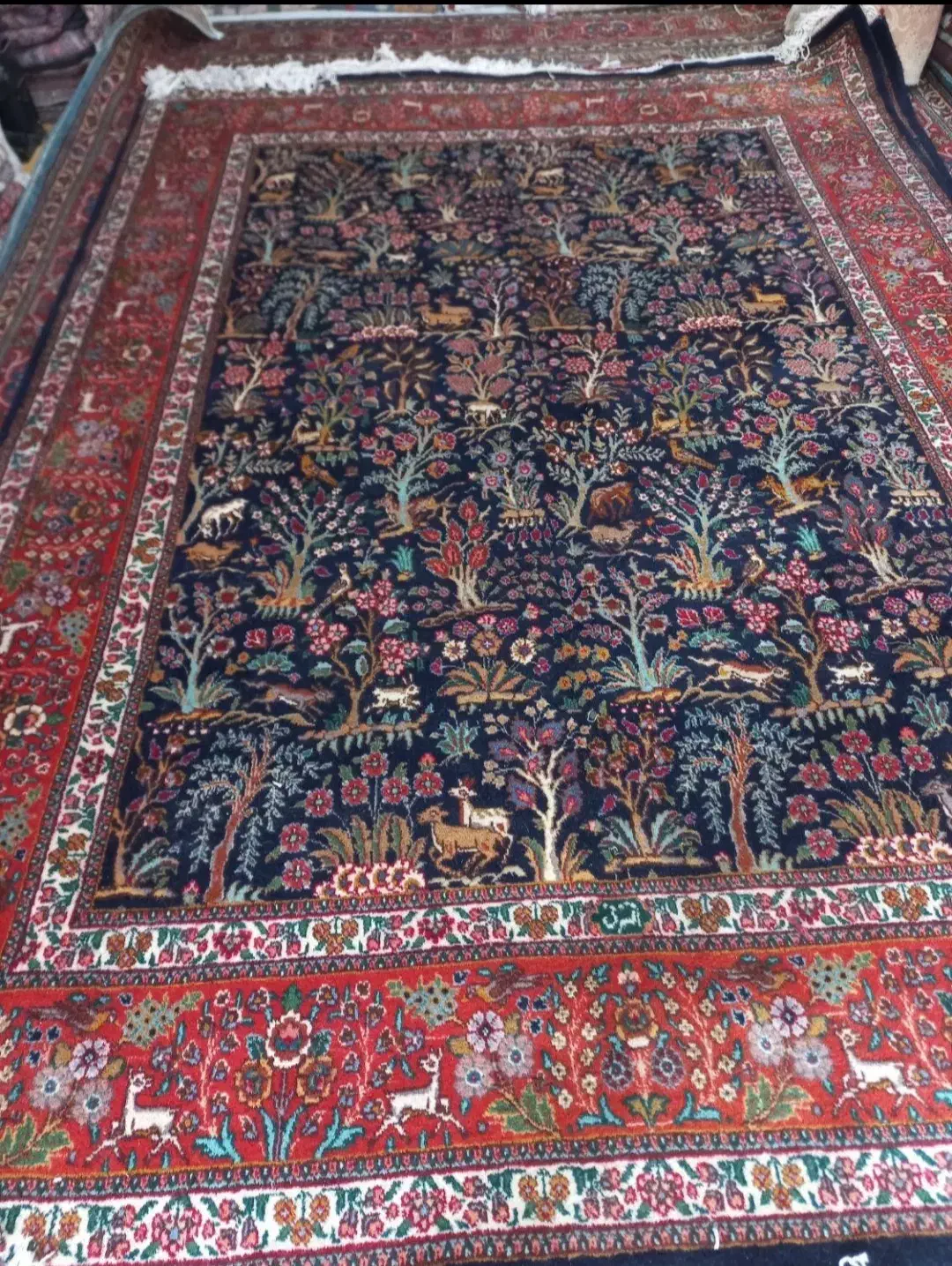 خرید فرش|فرش|کرج, باغستان|دیوار