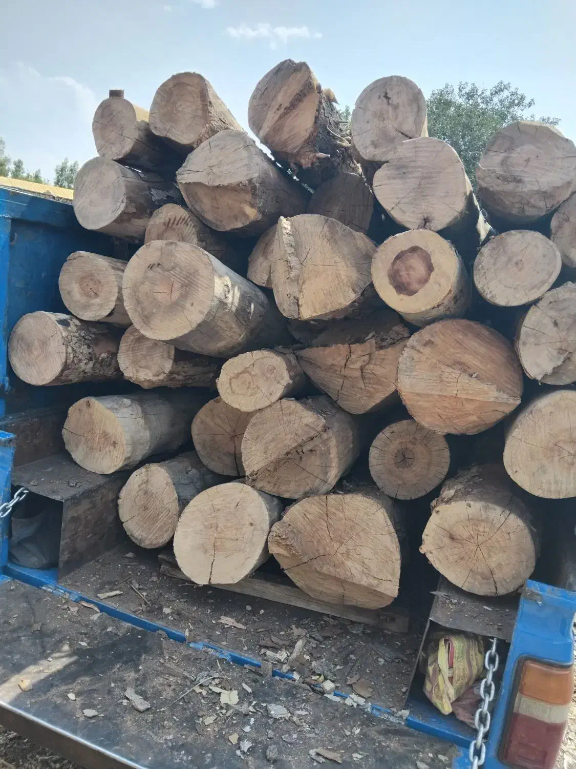 خرید چوب برش درخت هرس|خدمات باغبانی و درختکاری|لواسان, |دیوار