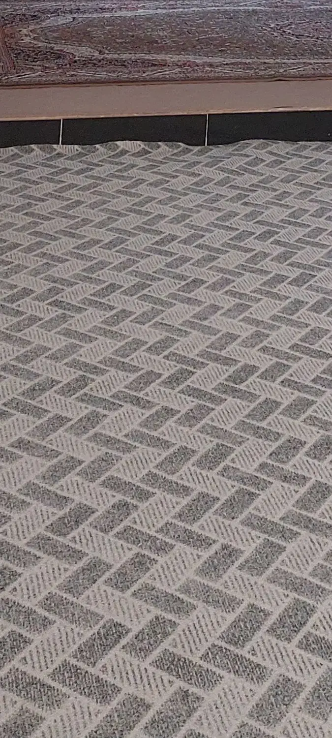 موکت خوشرنگ کارکرده ولی سالم|موکت|ایلام, |دیوار