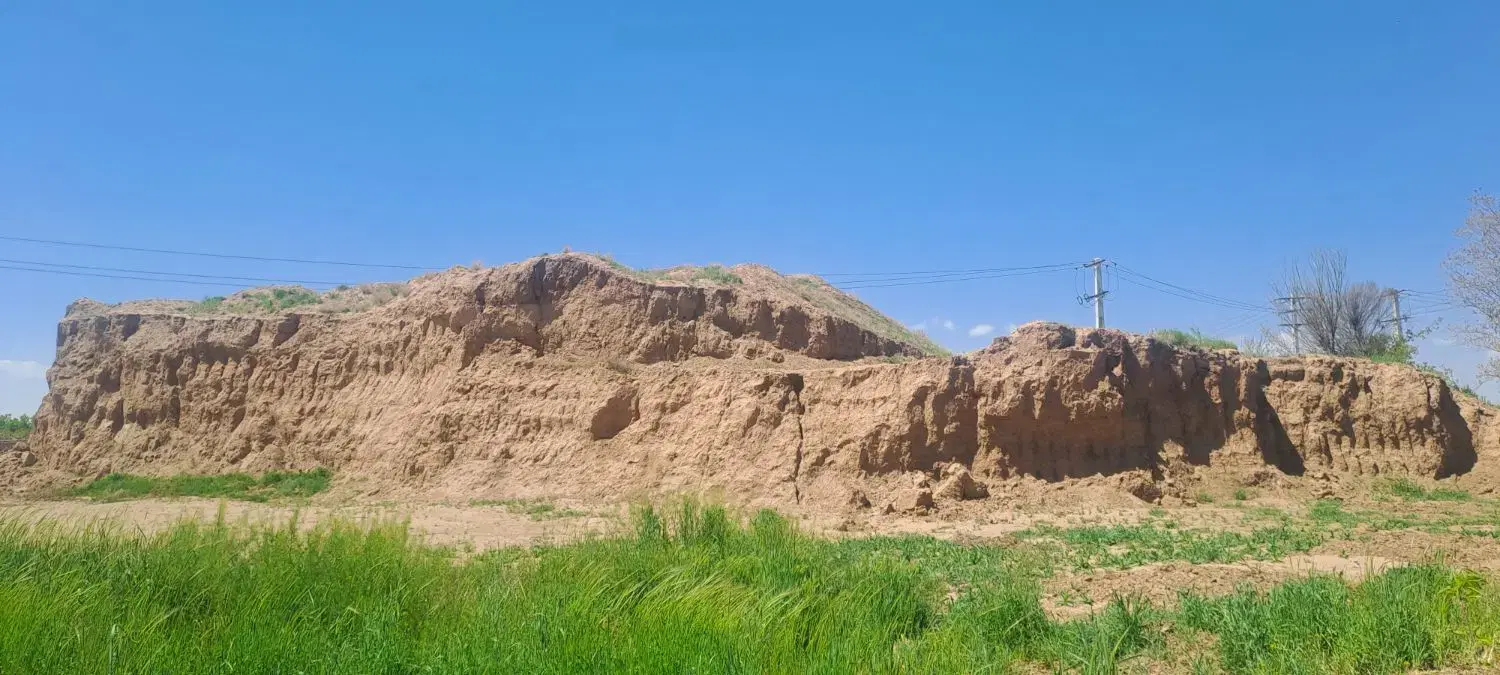 خاک باغی|خدمات باغبانی و درختکاری|الوند, |دیوار