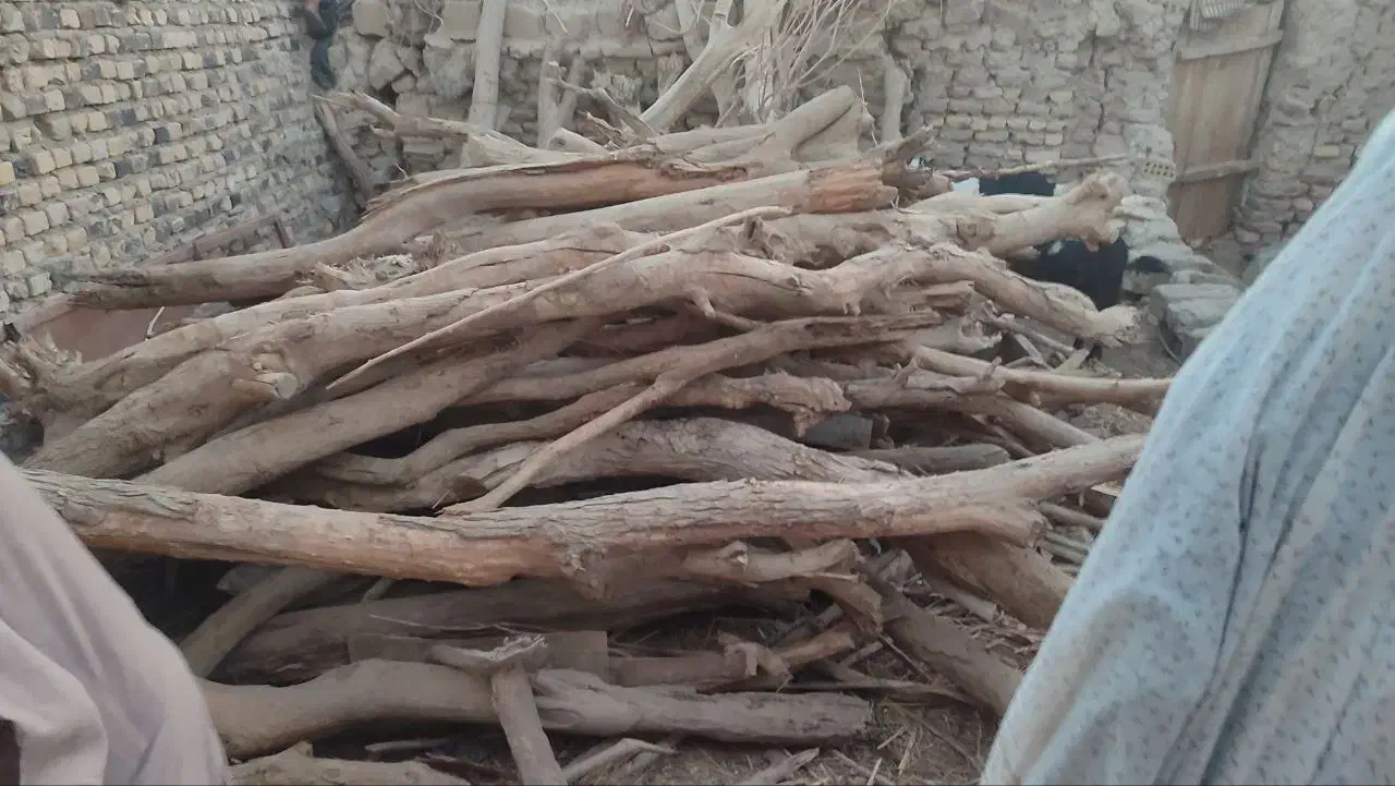 چوب خشک|مجسمه، تندیس، ماکت|زهک, |دیوار