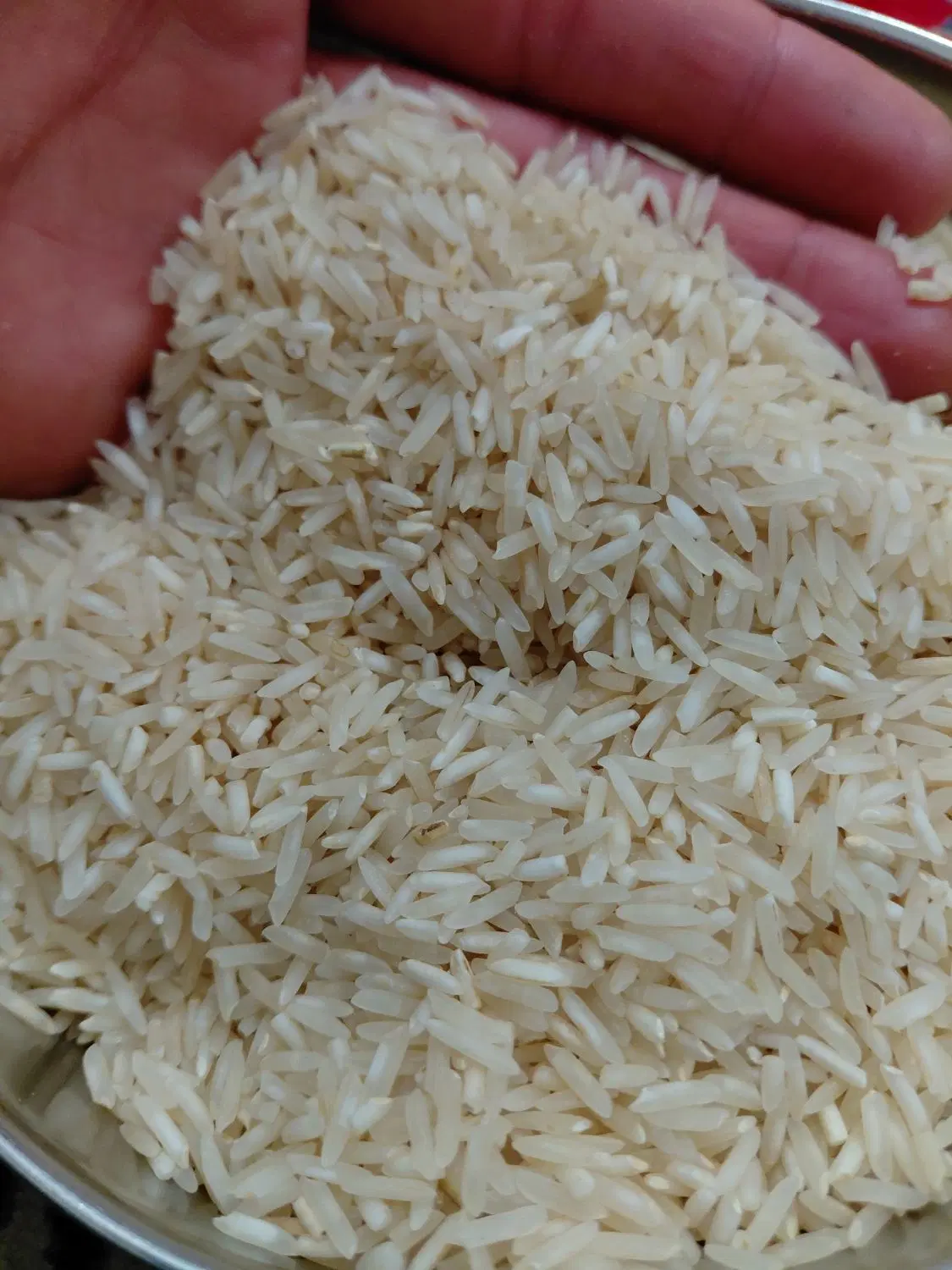 برنج ضیغمی|خوردنی و آشامیدنی|سیروان, |دیوار