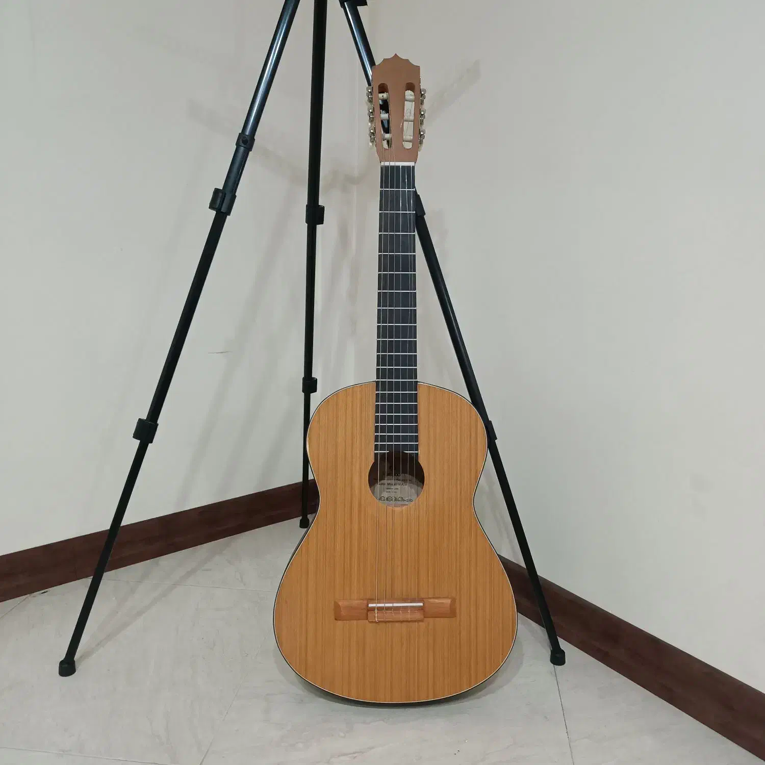 گیتار|گیتار، بیس، امپلیفایر|ری, اقدسیه|دیوار