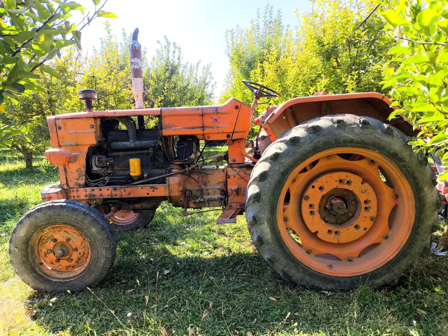 تراکتور رومانی مدل ۶۳ همراه با گاو آهن|خودرو سنگین|اهر, |دیوار