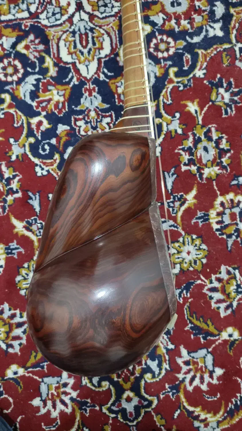 تار|سازهای سنتی|شیراز, پارک آزادی|دیوار