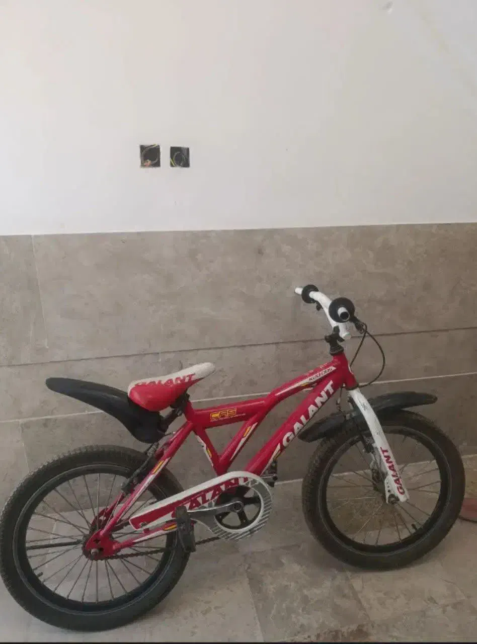 دوچرخه|دوچرخه، اسکیت، اسکوتر|سلفچگان, |دیوار