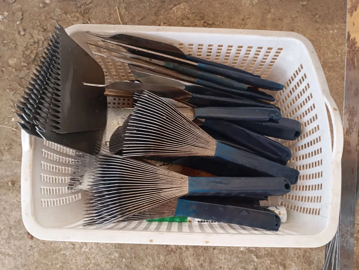 وسایل بافتنی|فرش|کنگاور, |دیوار