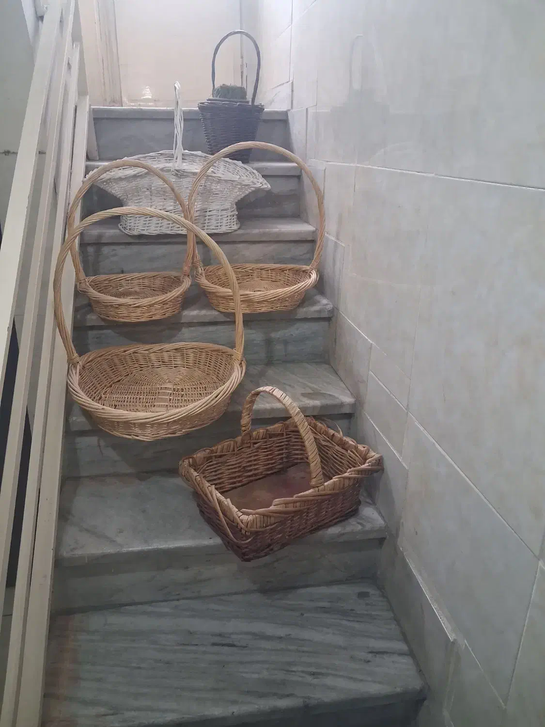 سبد|گل و گیاه طبیعی|تهران, کرمان|دیوار