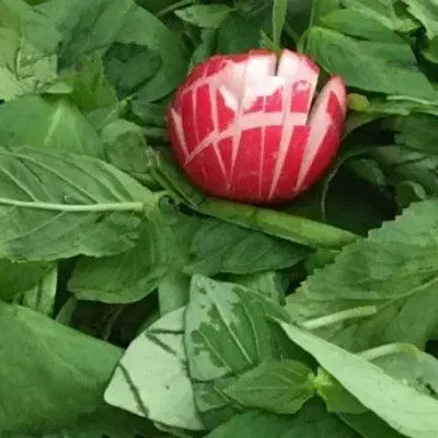 سبزی مارکت انلاین|خوردنی و آشامیدنی|میناب, |دیوار