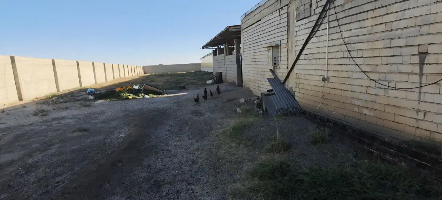 اجاره زمین مناسب انبارداری، کارگاهی، دامی، کشاورزی|اجارهٔ دفتر صنعتی، کشاورزی، تجاری|شبستر, |دیوار