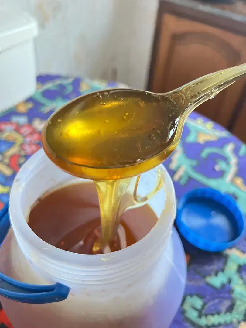 عسل ارگانیک درجه یک|خوردنی و آشامیدنی|آمل, |دیوار