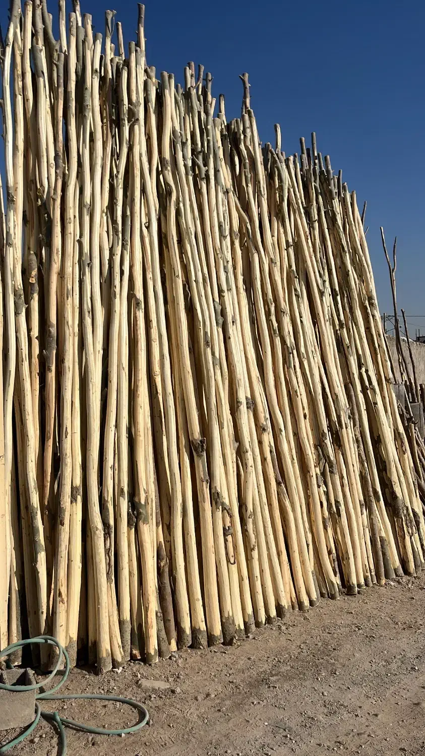 چوب داربندی شمع|مصالح و تجهیزات ساختمان|زارچ, |دیوار