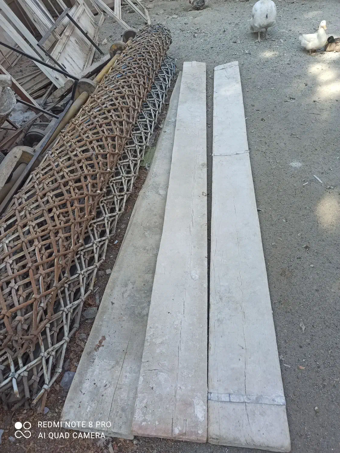 تخته بنایی|مصالح و تجهیزات ساختمان|محمدشهر, محمدشهر|دیوار