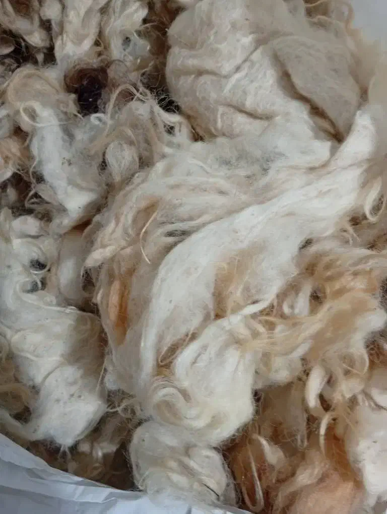 پشمگوسفند|رختخواب، بالش، پتو|خوی, |دیوار