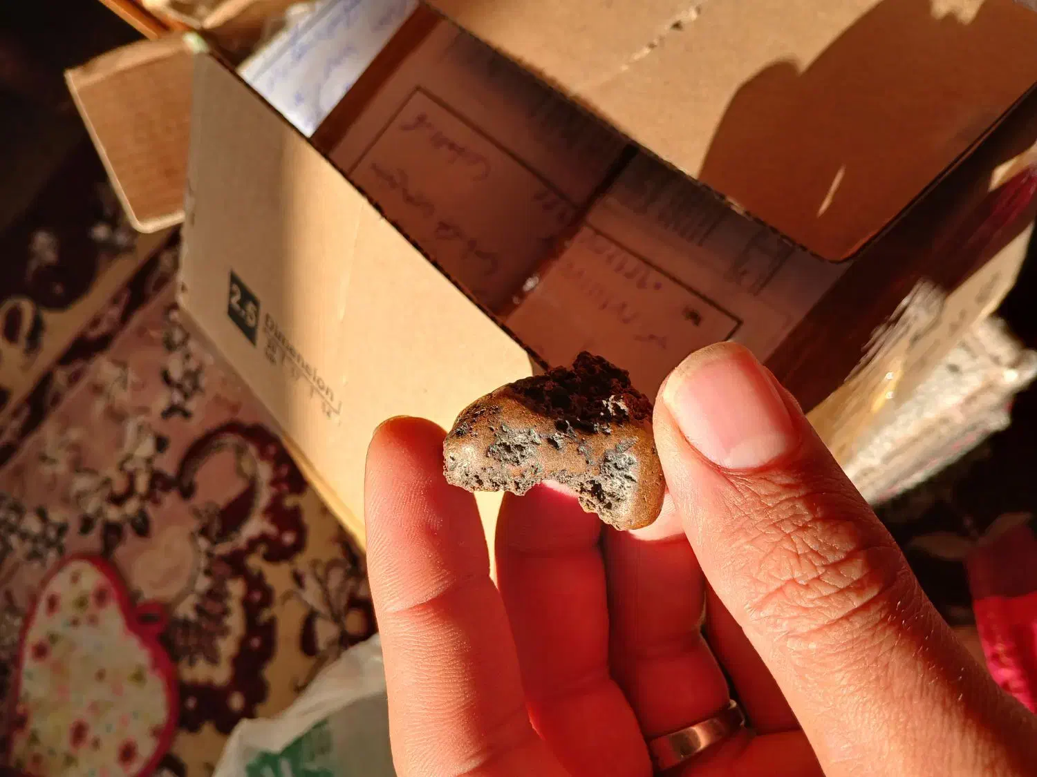 شهاب سنگ|کلکسیون اشیاء عتیقه|محلات, |دیوار