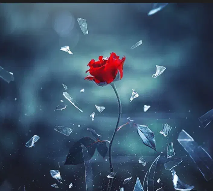 کار در خانه اشپزی|استخدام خدمات فروشگاه و رستوران|ابهر, |دیوار