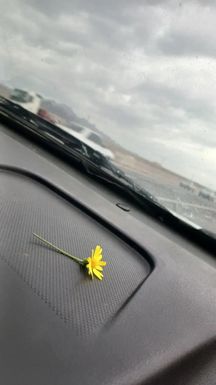 گردش|فعالیت داوطلبانه|تهران, شهرآرا|دیوار