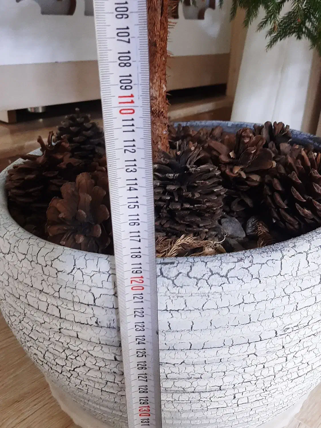 ۴۰۰۰۰۰۰تومان|گل و گیاه طبیعی|مرند, |دیوار