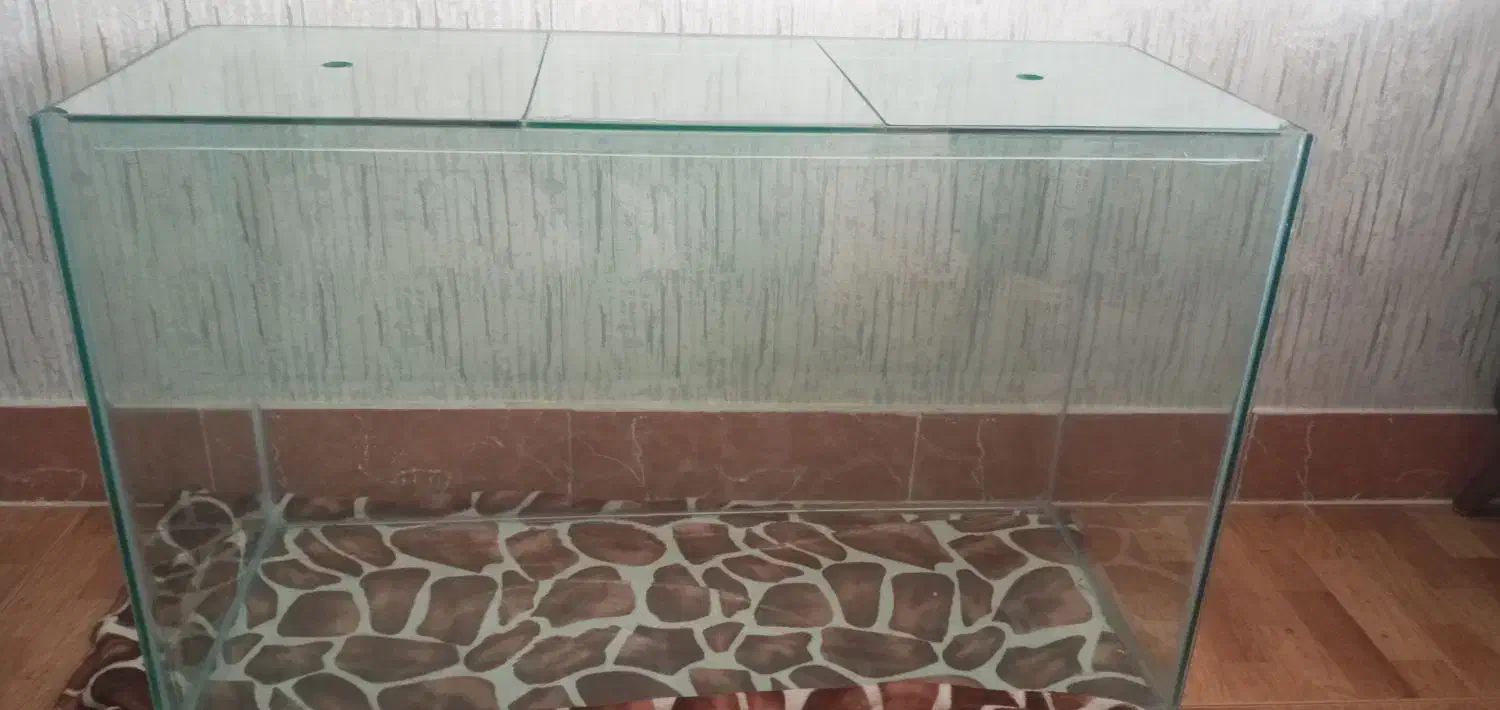 اکواریوم|لوازم جانبی حیوانات|خوی, |دیوار