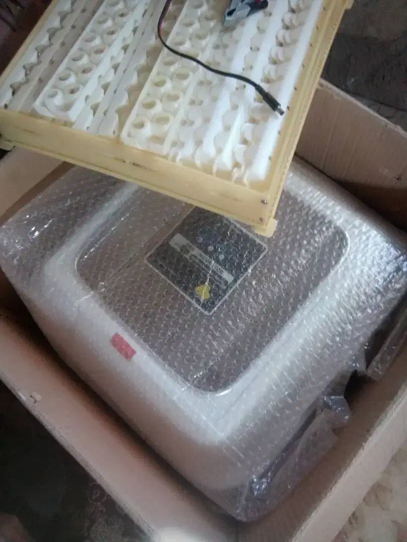 فروش دستگاه جوجه کشی|لوازم جانبی حیوانات|بندر ماهشهر, |دیوار