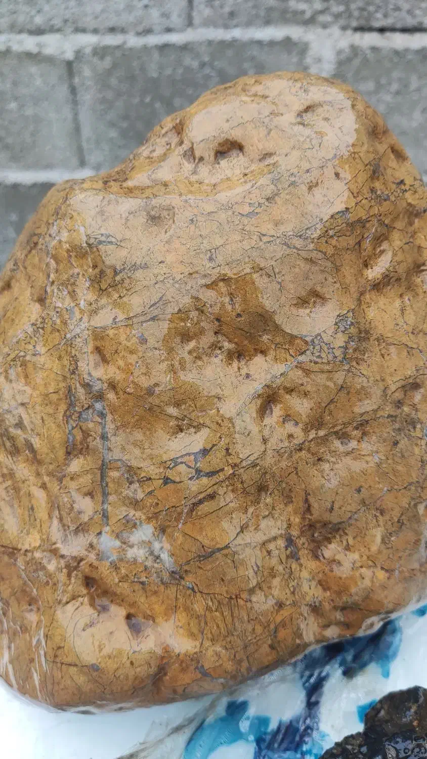 سنگ جواهری|کلکسیون اشیاء عتیقه|رشت, بازار|دیوار