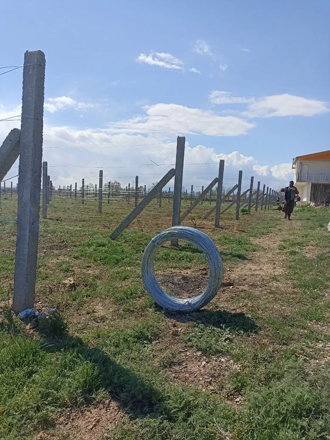 توری فنس نوری|خدمات باغبانی و درختکاری|تاکستان, |دیوار