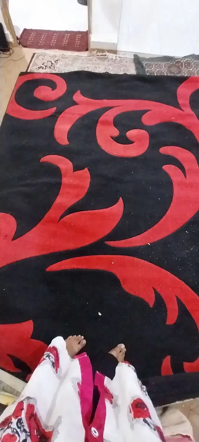 فرش قالی ۶متری و۱۲متری وموکت۹متری|فرش|گرگان, |دیوار