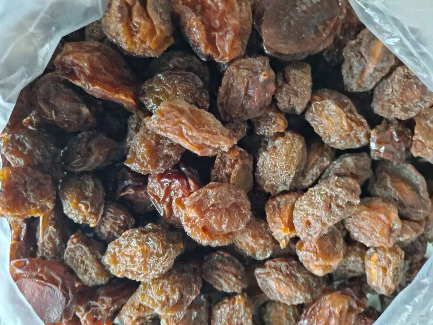 الو|خوردنی و آشامیدنی|بجنورد, |دیوار