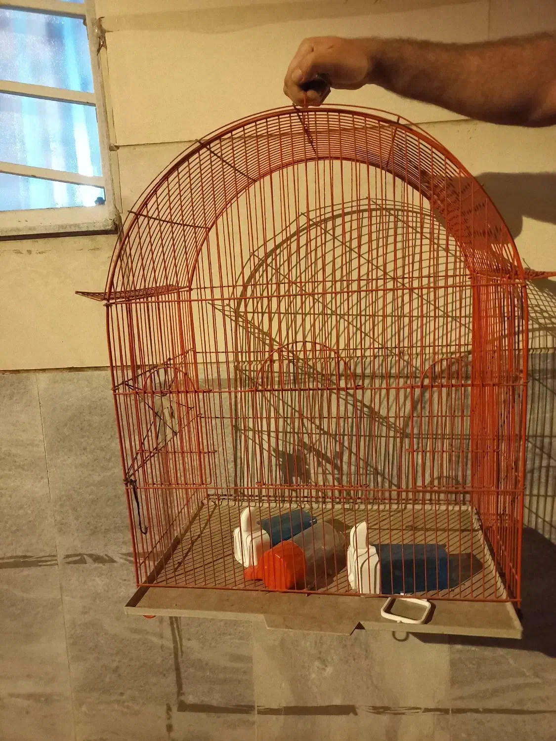 قفس بزرگ|لوازم جانبی حیوانات|میانه, |دیوار