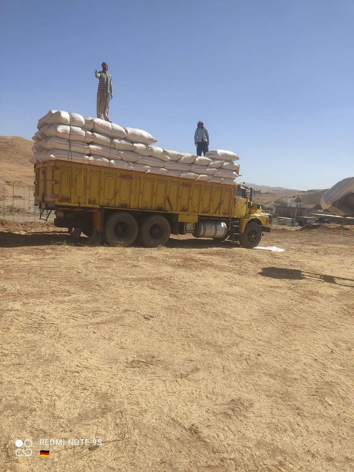 کاه نخود|عمدهفروشی|بوکان, |دیوار