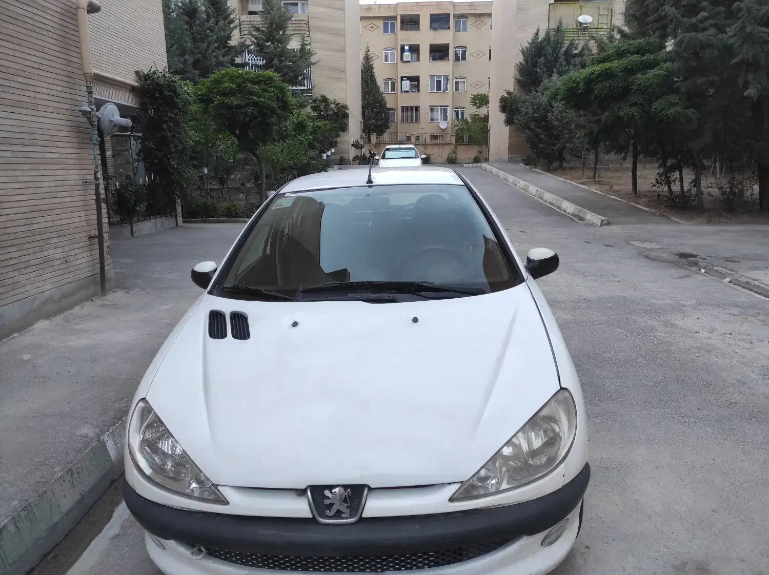 206 sd v8|خودرو سواری و وانت|پردیس, فاز ۱|دیوار