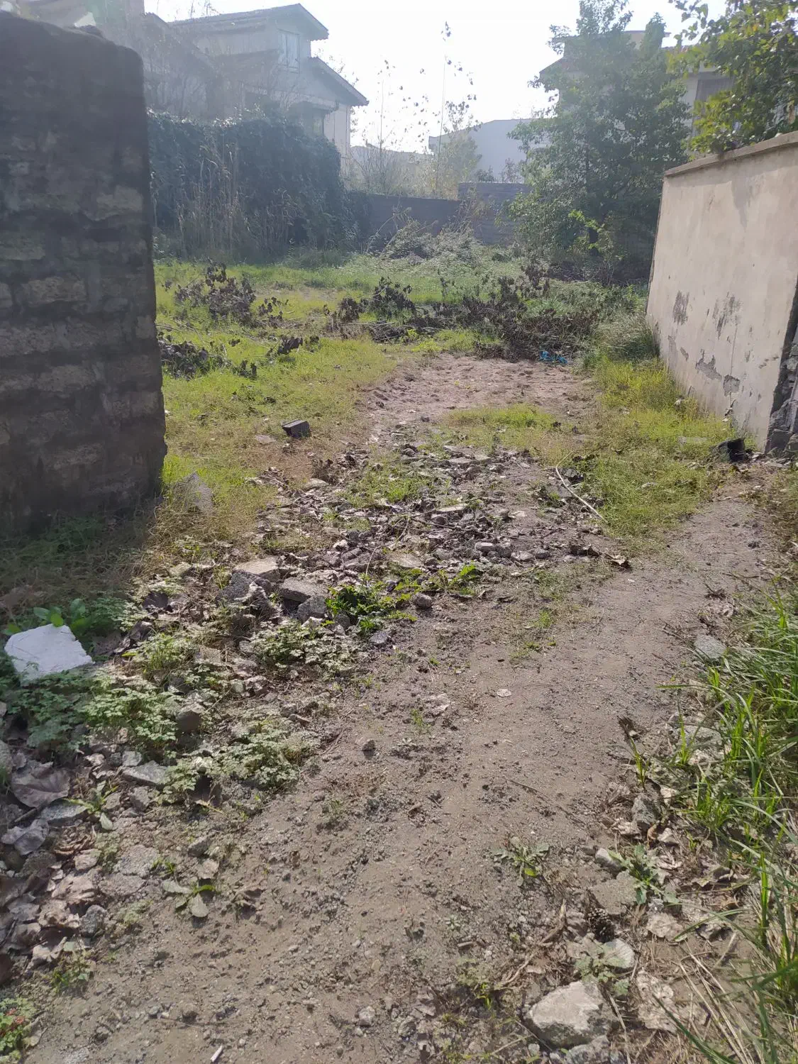 فروش زمین630 متری پلاک اول ساحل زیبای چمخاله|فروش زمین و ملک کلنگی|چاف و چمخاله, |دیوار