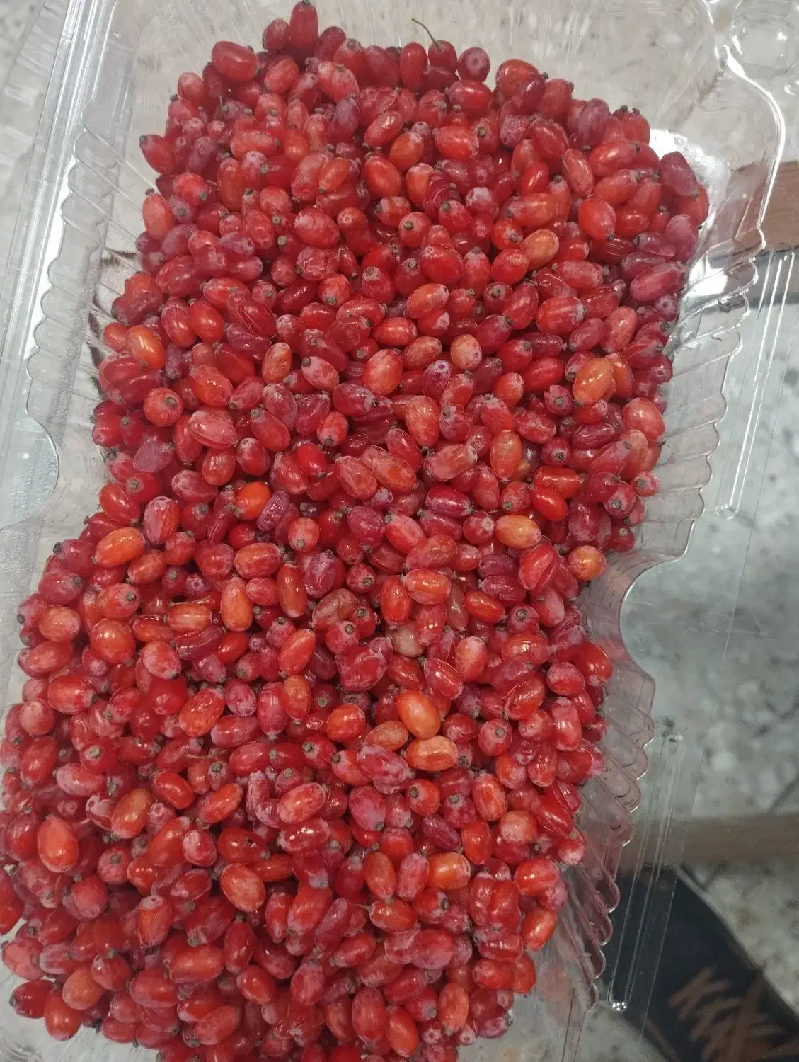 زرشک دون شده|خوردنی و آشامیدنی|مشهد, هنرور|دیوار