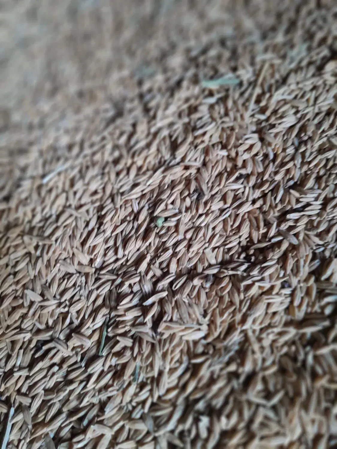 ۲تن جو|لوازم جانبی حیوانات|گل تپه, |دیوار