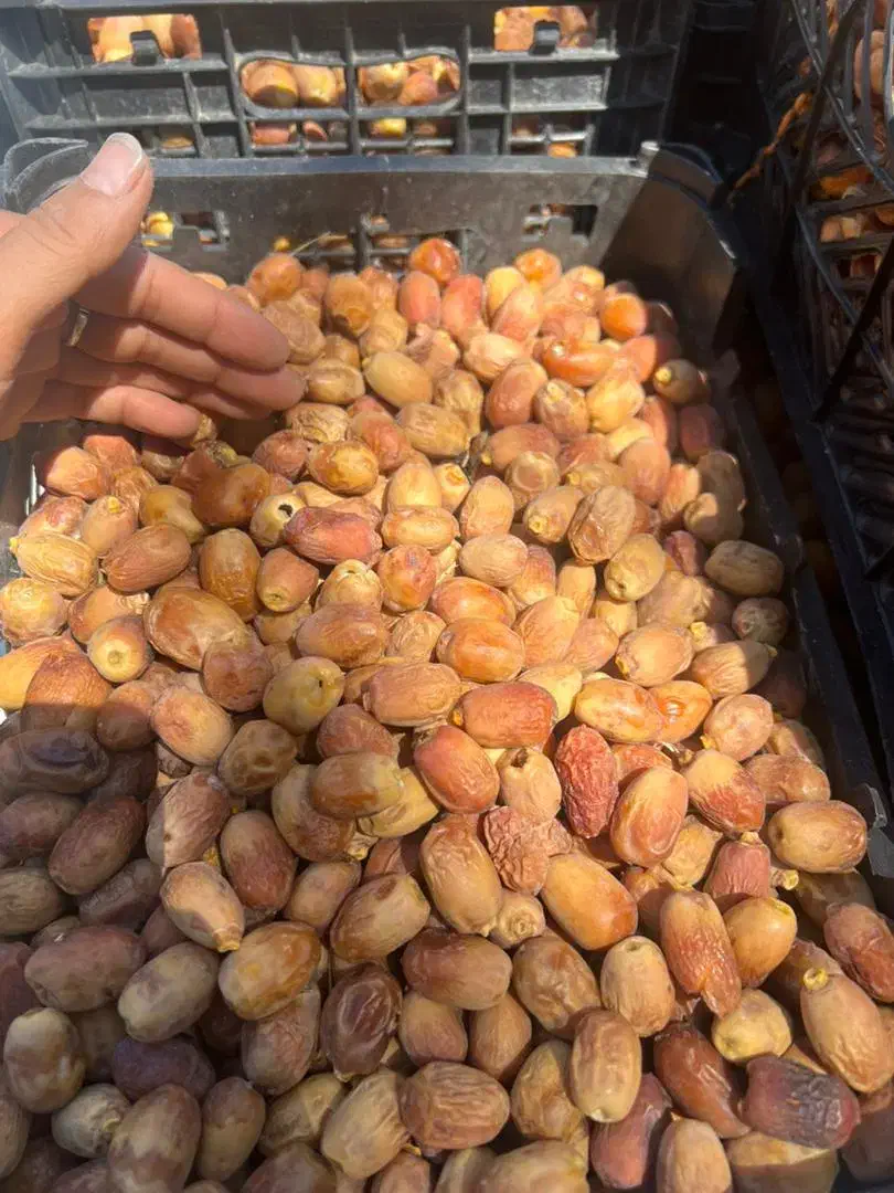 قصب تازه|خوردنی و آشامیدنی|شیراز, لشکری‎|دیوار
