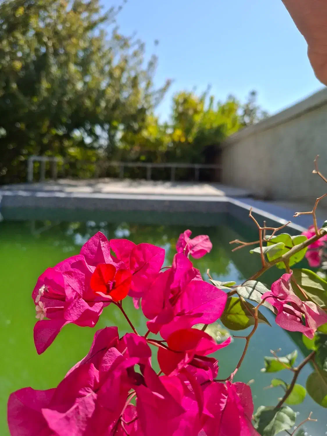 اجاره خانه باغ|اجارهٔ کوتاهمدت ویلا و باغ|طسوج, |دیوار