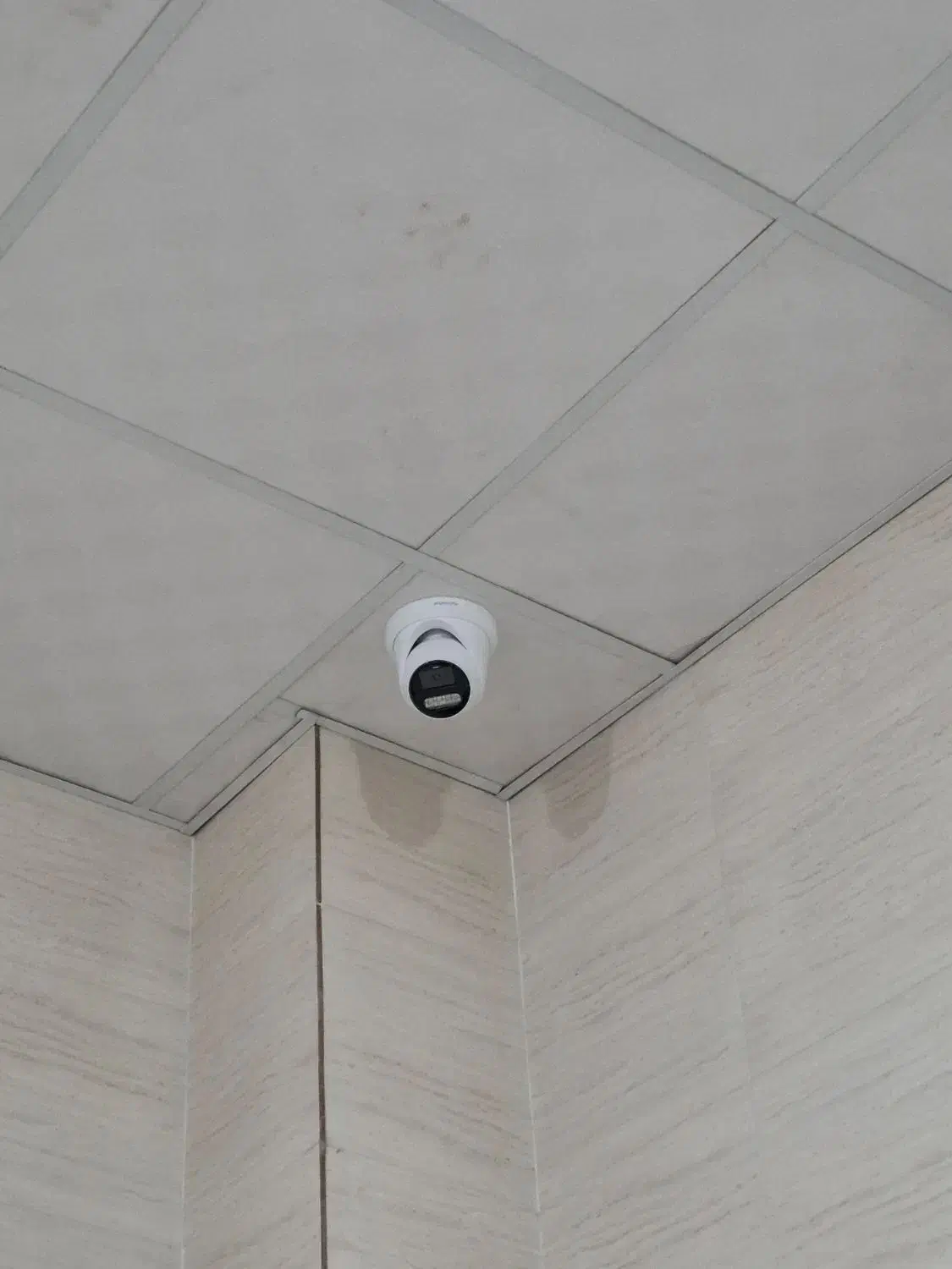 دوربین مداربسته دزدگیر اماکن(نقد و اقساط)|دوربین مداربسته|یزد, |دیوار