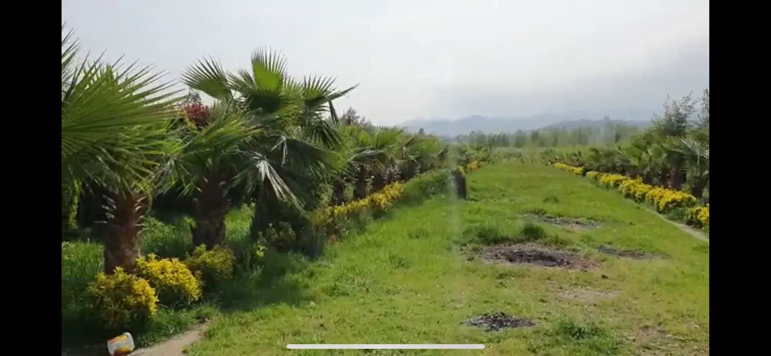 زمین شهرکی در منطقه بی بالان|فروش زمین و ملک کلنگی|واجارگاه, |دیوار