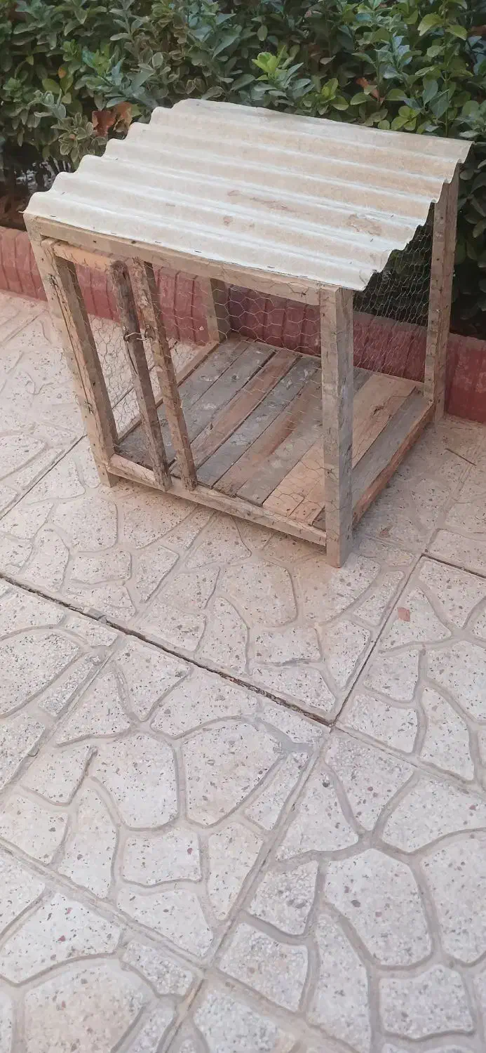 قفس چوبی|لوازم جانبی حیوانات|کرمانشاه, |دیوار