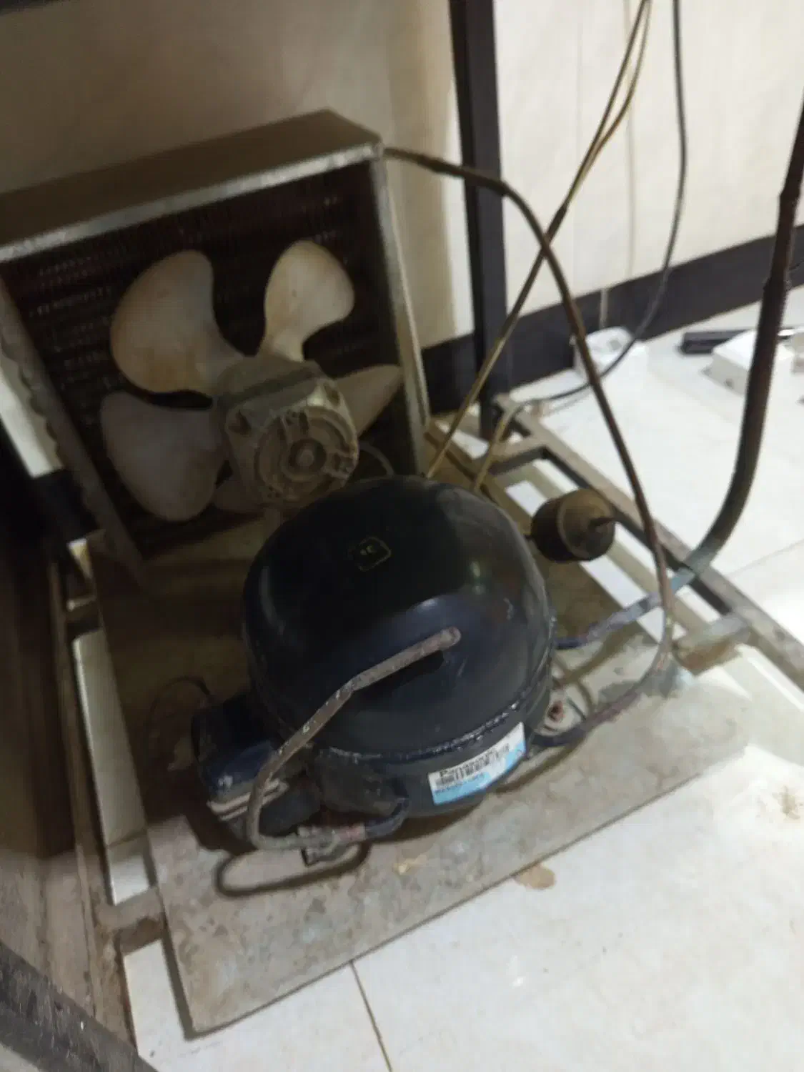 سرد کن شیر و آیران|فروشگاه و مغازه|پارسآباد, |دیوار