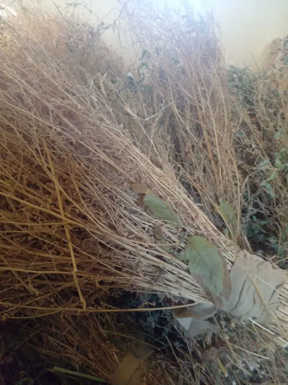 جارو|لوازم نظافت|ملایر, |دیوار